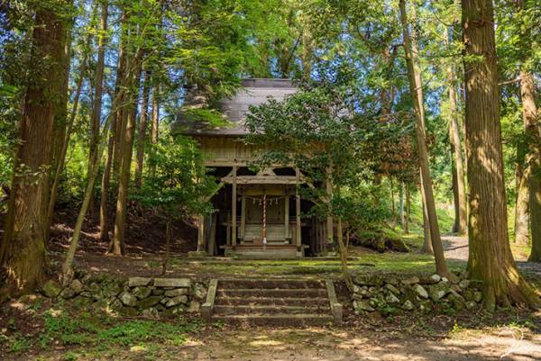 まるでトトロの世界！「ジブリな森の神社にトトロを探しに行ってきた」