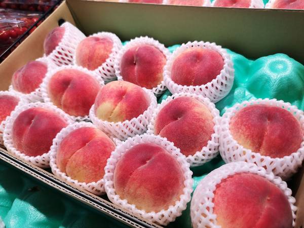 「食べたいけど面倒！」JA全農あおもりが教える『桃をおいしく食べるコツ』