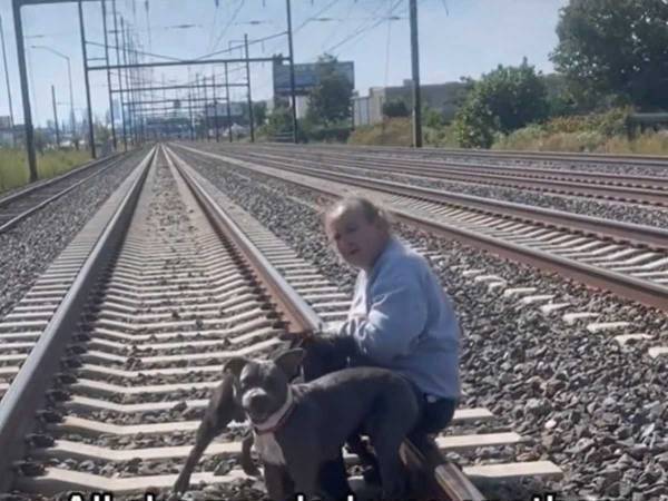 危機一髪！　線路に迷い込んだ野良犬を助けようとした女性　次の瞬間？