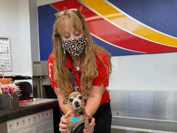 空港で荷物が重量オーバー？　スーツケースの中から出てきたものに爆笑！