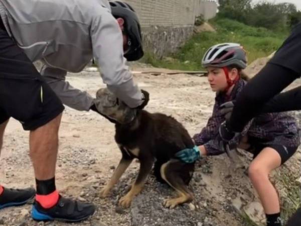 ペットボトルから頭が抜けなくなった犬を助けたら？　犬の反応が最高だった