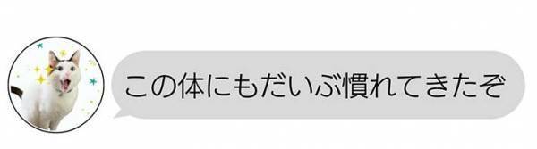 飼い主「翻訳しなければ、気付かずに済んだのに…」　投稿に２１万『いいね』！