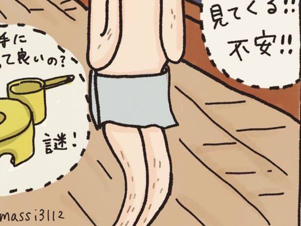 温泉に抵抗を抱いていた外国人　その理由に「分かりやすい」