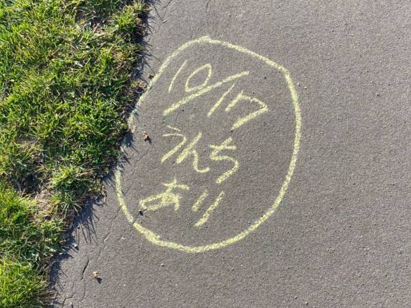 道に書かれた『うんちあり』の字　真相に「ゾッとした」「怖すぎる…」