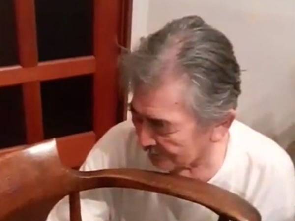 飼い主とじゃれる子猫　しかし、その位置に「逆だけど幸せそう」