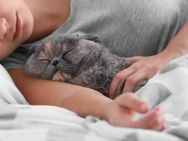 なんという小悪魔…！　女性の腕の中で寝ていた猫　直後の行動に赤面