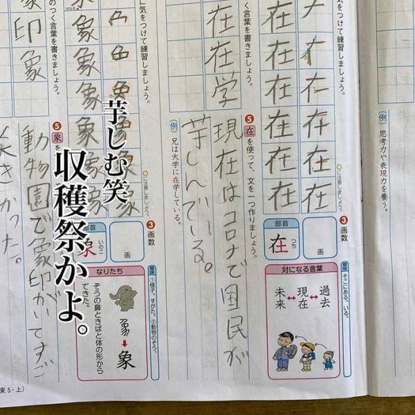 『文を作りなさい』という宿題に、１１歳息子の出した答えが最高すぎた