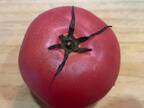 トマトを切るにはコツがある！料理の幅が広がるトマトの切り方