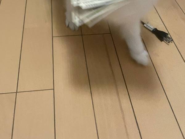 「どこから見つけてきたんだ」　犬がくわえて渡したものに、爆笑！