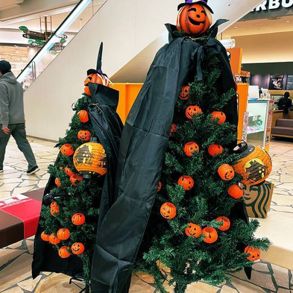 ハロウィンなのに、どこかがおかしい…　斬新な飾りつけに「発想の勝利」「これは賢い」