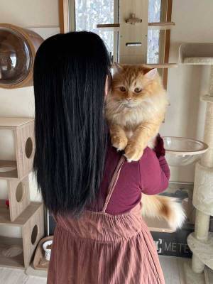 猫の態度の違いに「この差よ…」　妻に抱っこされる猫の『変化』に腹筋崩壊