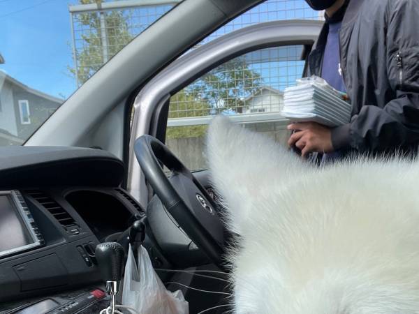 動物病院で何をされるか察した犬　表情を写した１枚に「笑っちゃってごめん」