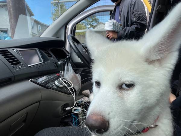 動物病院で何をされるか察した犬　表情を写した１枚に「笑っちゃってごめん」