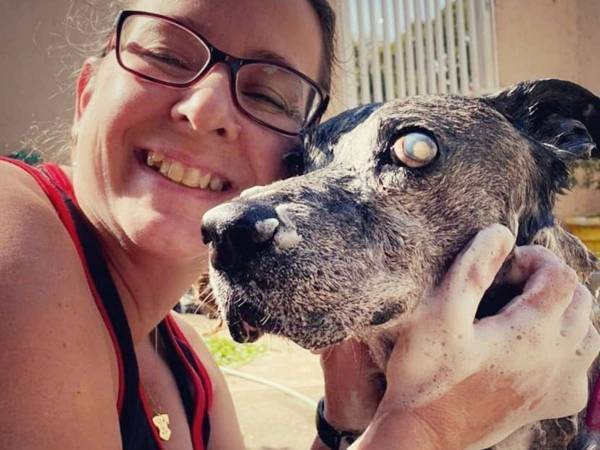 待っていてよかったね　１０年間保護施設で暮らした犬　ついに家族ができる