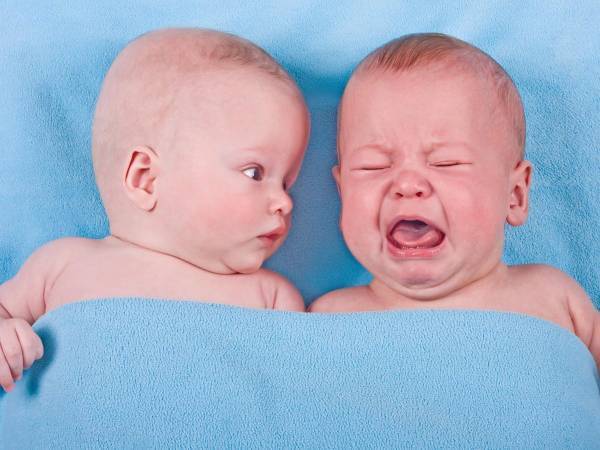 「マジで？」　隣で泣き始めた兄弟を見た赤ちゃんの表情に爆笑！