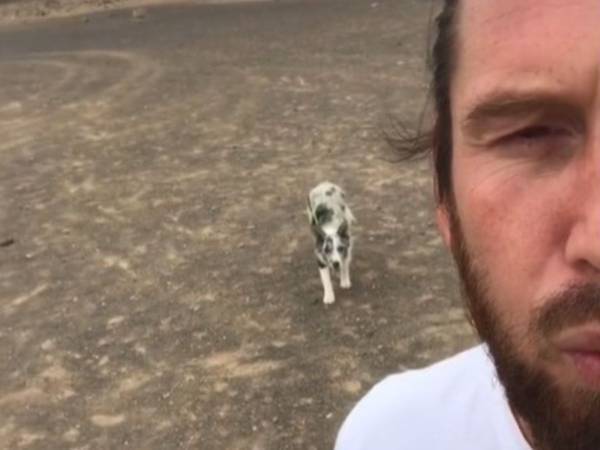 なんて賢いんだ！　愛犬と『だるまさんがころんだ』をしてみたら？