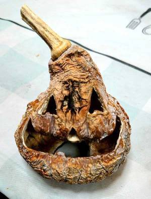 怨霊がこもってる…　『飾り』の数日後の姿に「子供が見たら泣く」