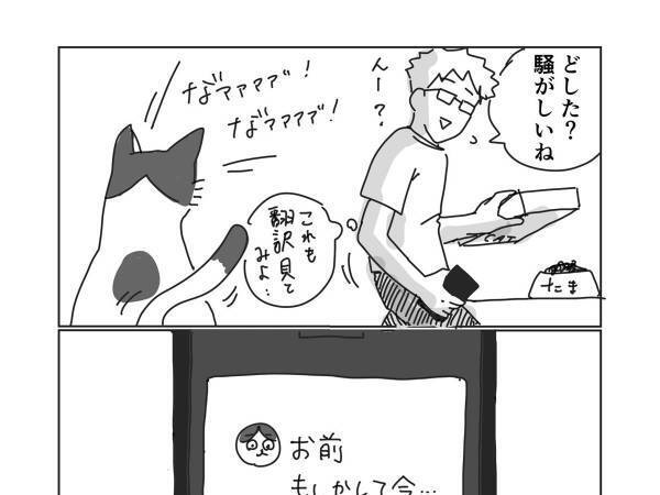 『猫語翻訳アプリ』を使ったら凍り付いた飼い主　展開に「笑う」「好きすぎ」