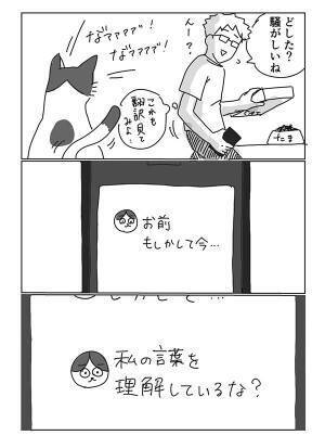 『猫語翻訳アプリ』を使ったら凍り付いた飼い主　展開に「笑う」「好きすぎ」