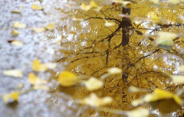 「自分を愛する」とは？　自分と対話し続け、本当に自分が望むように生きること