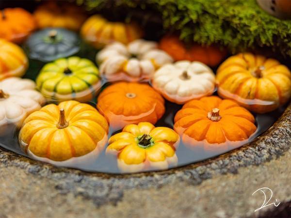 『ハロウィン手水』に感動の声が続出　「これが京都のセンスか…」「心が洗われる」