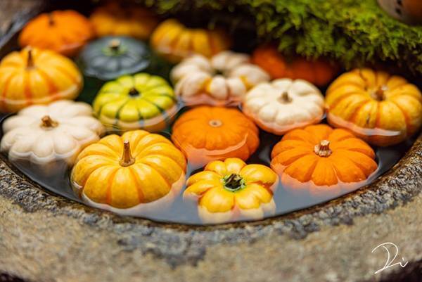 『ハロウィン手水』に感動の声が続出　「これが京都のセンスか…」「心が洗われる」