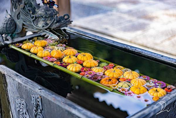 『ハロウィン手水』に感動の声が続出　「これが京都のセンスか…」「心が洗われる」