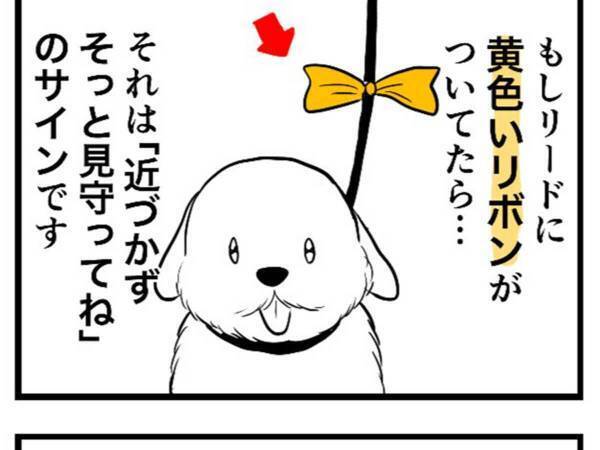「知らなかった」「気を付けよう」　リードに『黄色いリボン』がついてたら？