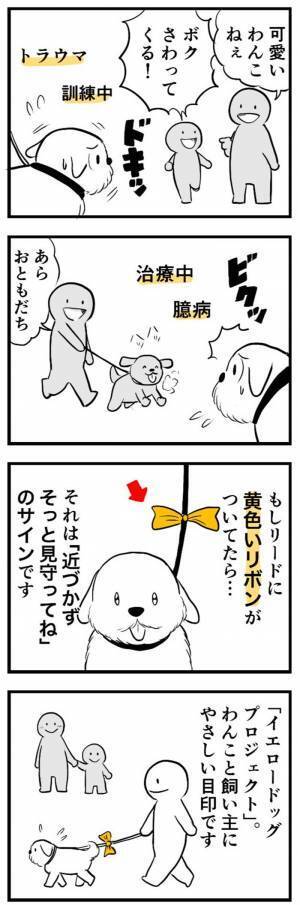 「知らなかった」「気を付けよう」　リードに『黄色いリボン』がついてたら？