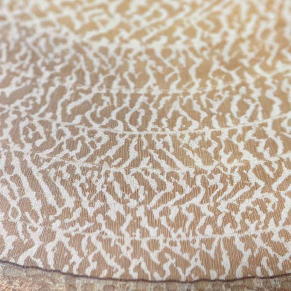 「身近にあるのに初めて見た」「すごい衝撃」　金木犀の断面に、驚愕の声続出！