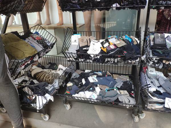 靴下売り場に紛れ込んでいた『靴下より温かいもの』が、かわいい！