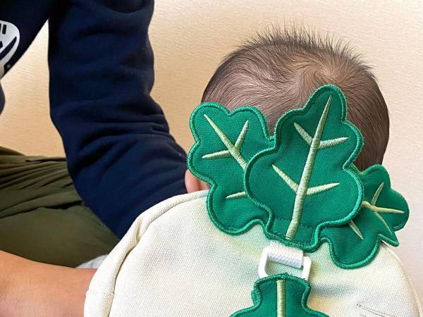 センスが光る『子供用ハーネス』に絶賛の声　「発想の勝利」「たまらん」