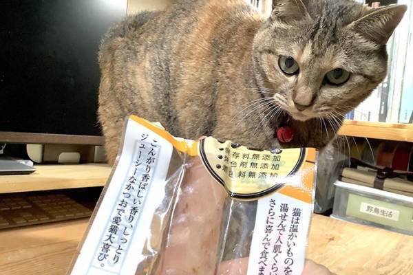 旅行から戻った飼い主に『げきおこ』な猫　高級おやつをあげると…？