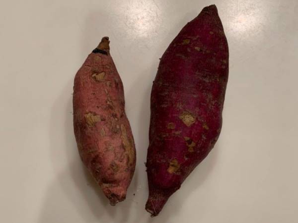 冷凍できたんだ！さつまいもを冷凍すると使い勝手が良すぎた件