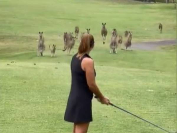 ゴルフのプレー中、集まって来た『見物者』にびっくり！ 「笑ってしまった」