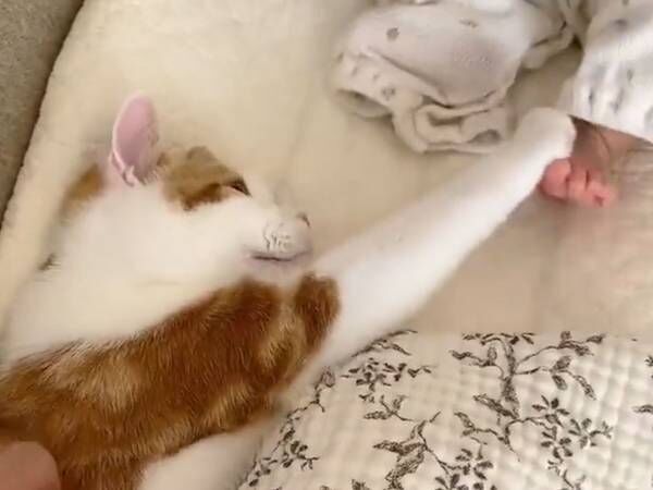 寝付けずにじたばたしていた赤ちゃん　すると、やって来た猫に「表情がたまらん！」