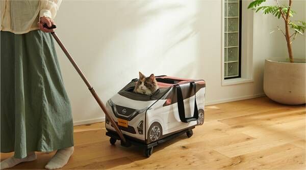 「可愛すぎる…」　猫が車を運転する『斬新なウェブムービー』が話題に