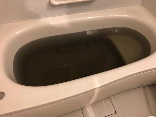 どうしてこうなった…！　息子の入浴剤を使った結果に「笑った」「勇気が要る」