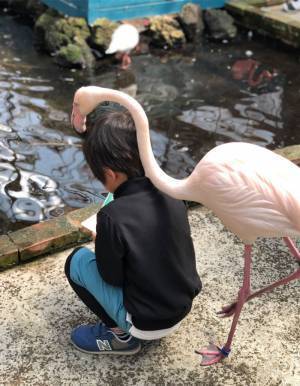 動物園で絵を描いていた息子　背後に近づいてきた正体に「振り返ったら叫びそう！」