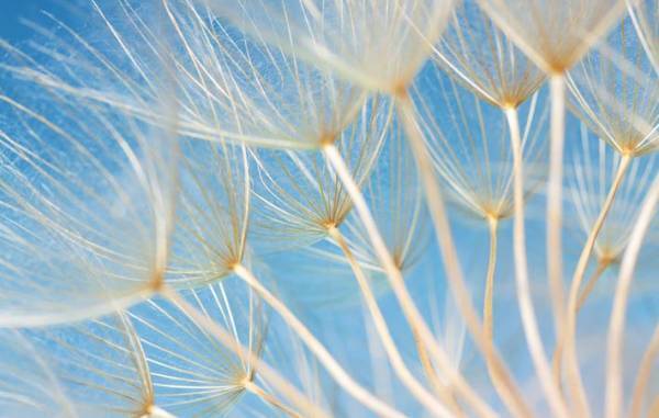 若さを保つための「かきくけこ」とは？　いつも喜んでいる自分でいられるように