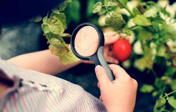 若さを保つための「かきくけこ」とは？　いつも喜んでいる自分でいられるように