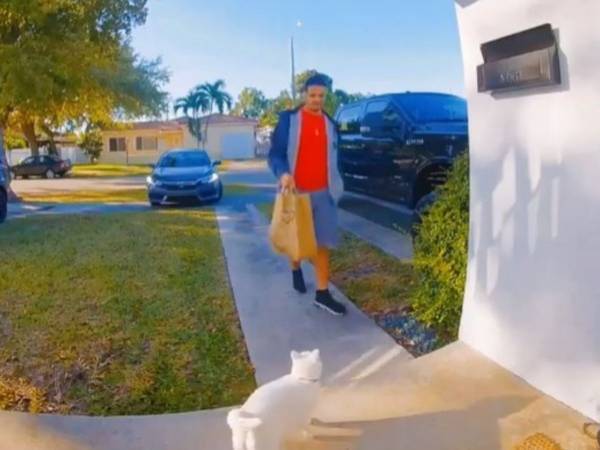 玄関で配達員の男性を待つ猫　その理由に爆笑　「かわいすぎて悶絶！」