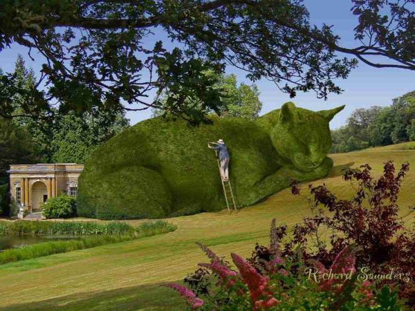 猫の形に刈り込まれた巨大な木　これって本物？　「素晴らしい」「涙が出た」