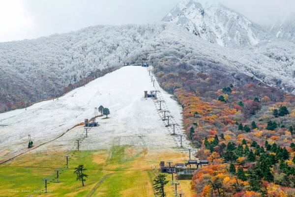 「実は、すごいことなんです」　季節の境界線をとらえた奇跡の１枚に反響