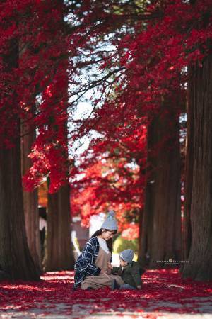 父親「奇跡のような１枚が撮れました」　家族写真に絶賛の声