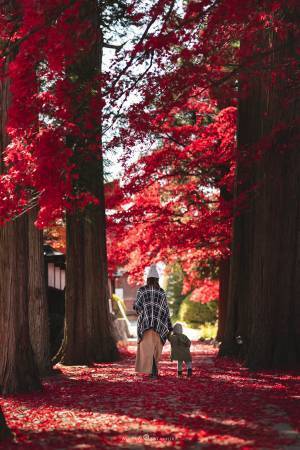 父親「奇跡のような１枚が撮れました」　家族写真に絶賛の声