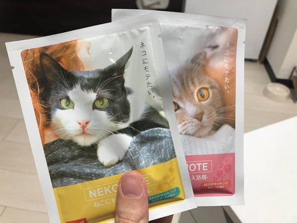 モテている…のか？『秘策』を行った飼い主の投稿に、猫好きな人たちから反響