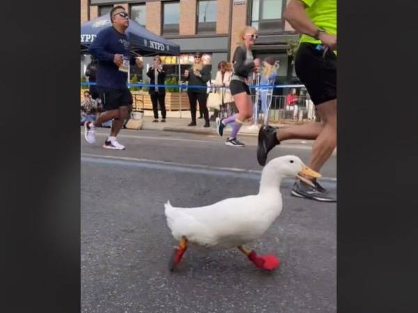 マラソン大会で大歓声を浴びている『ランナー』が！　「レジェンドだ」