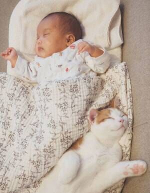 赤ちゃんの足元で、猫が寝ていて…　その光景に「タッグ組んでるみたい」