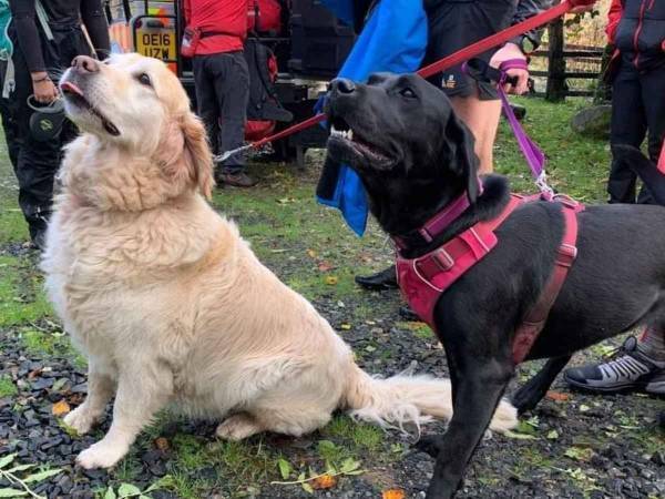 山道で意識を失った高齢男性　助けを呼びに行ったのは？　「信じられない」